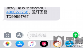 沈阳专业讨债公司，追讨消失的老赖